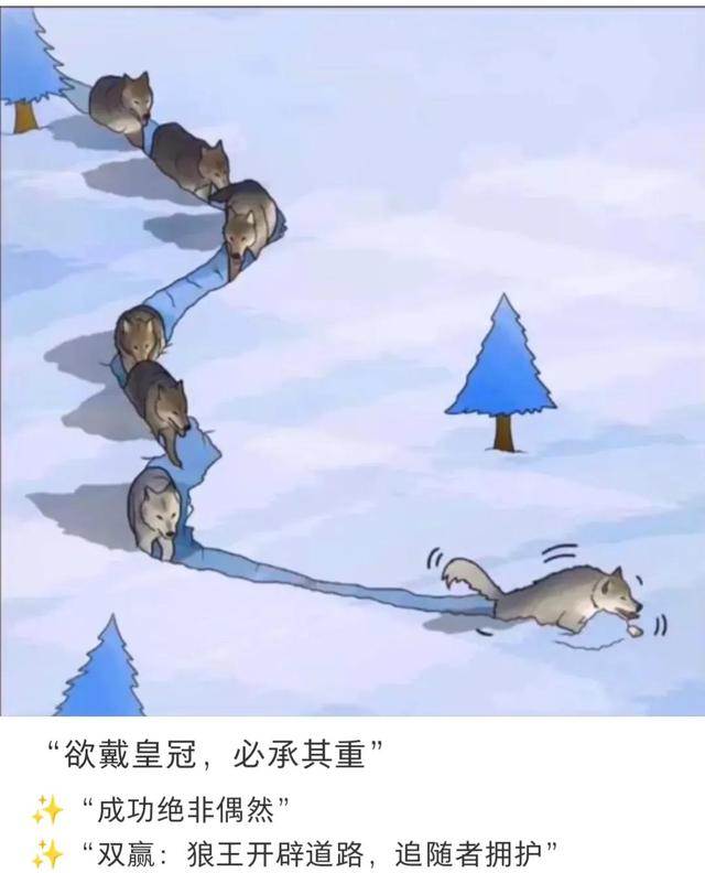 让你感受颇深的人生哲理有哪些？