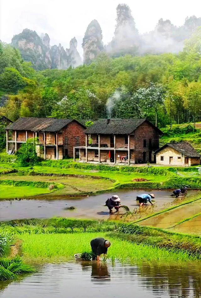 故乡美，惹人醉