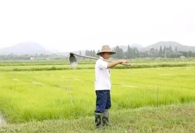 几秒的小视频为何会让你欲罢不能？