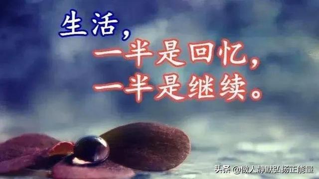 感悟人生的经典句子