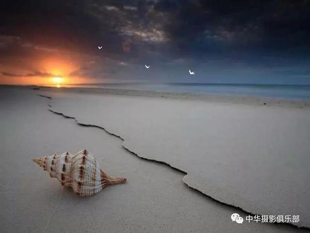 太美了！金奖摄影作品欣赏——