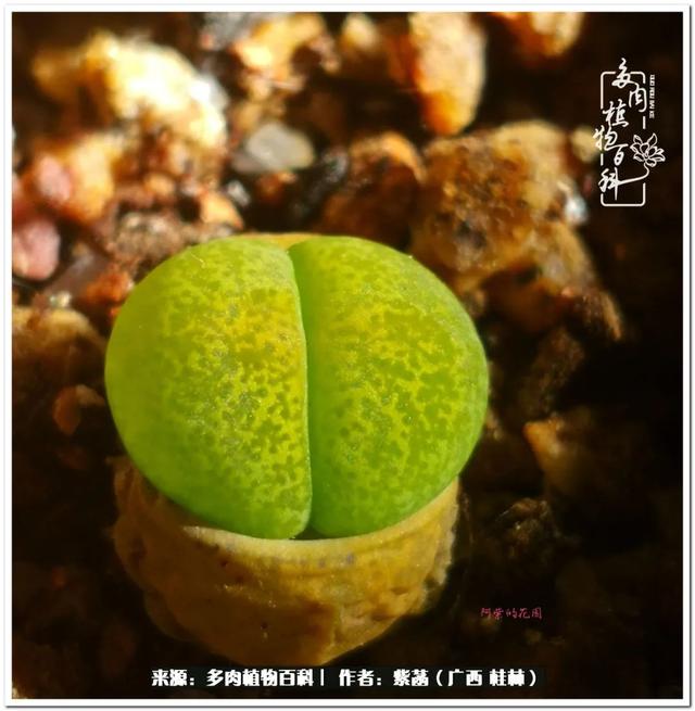 桂林滚筒式洗砂机厂家