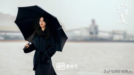 赵丽颖《野蛮生长》顺利杀青，作者更是大有来头，期待新剧播出