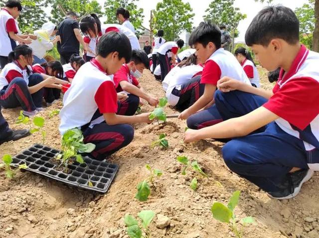 中小学生迎来新消息，教育部官宣9月份开启，家长：是来救我们的