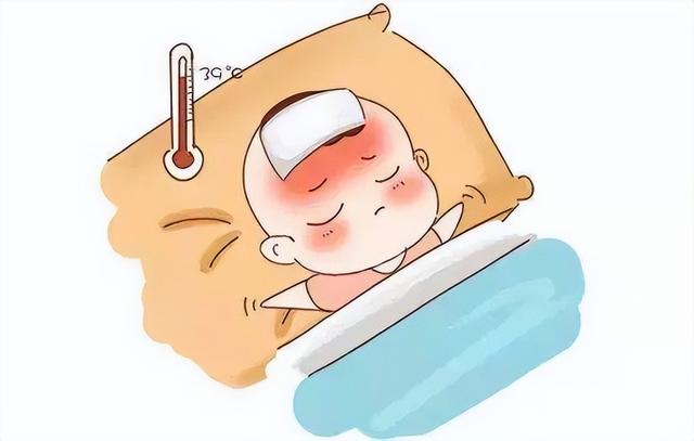 每天一个鸡蛋，是“养生”，还是“损坏心血管”？研究后表明答案