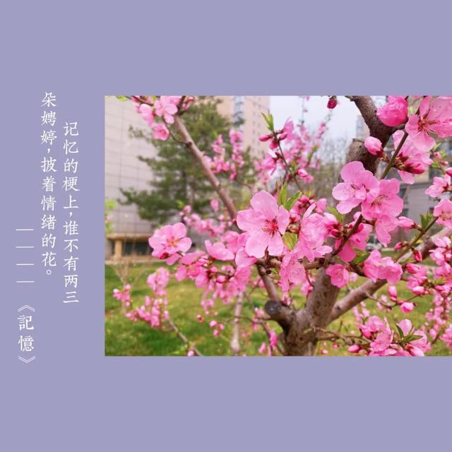 李叔同：拿得起是一种能力，放得下是一种修为