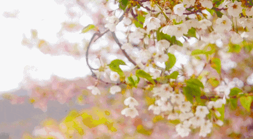 春分祝福图