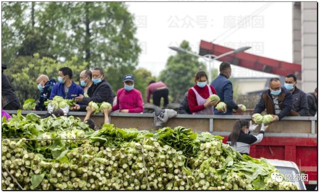 愤怒！众多城市支援上海竟然毫无热度？我们上海人不答应