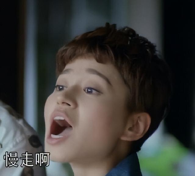 生在春光灿烂的日子剧情简介(生逢灿烂的日子全集剧情简介)