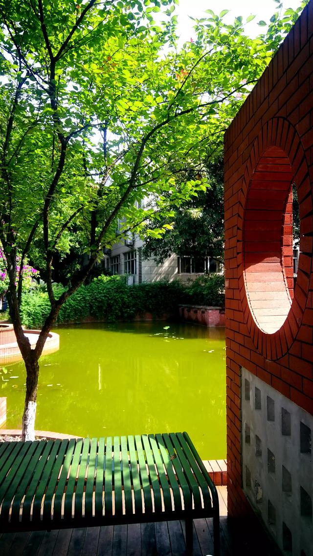 夏日里，美丽校园