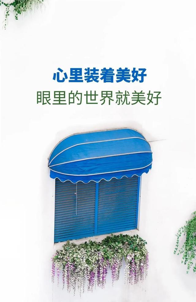 早安正能量唯美短句心语（2022.10.18早安心语正能量精致语录）(37)