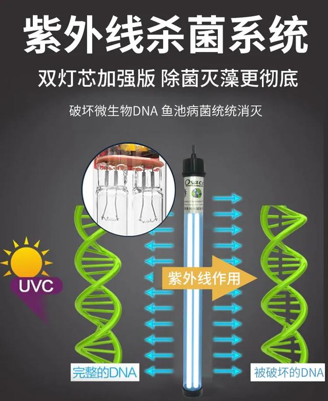 出售加压转鼓过滤机