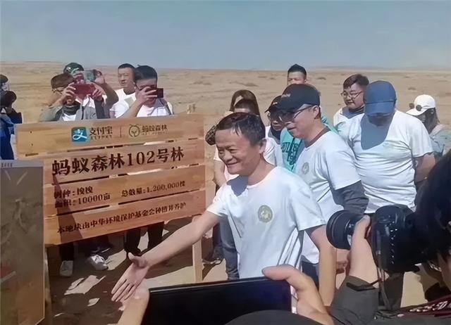 蚂蚁森林五年了，马云许诺每年种一亿棵树，这些树怎样了？