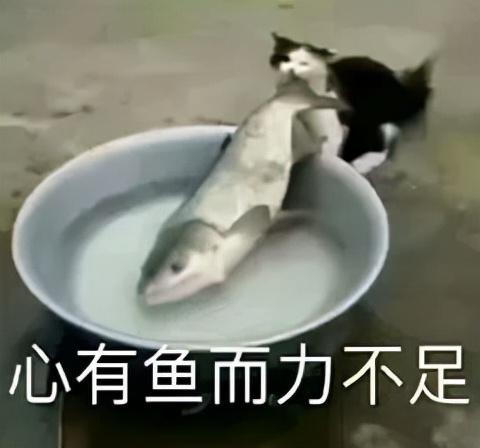 鸡皮痘痘是皮肤破损吗