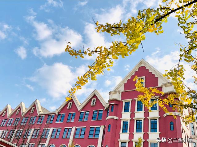 那个青少年学校好(青少年学校哪里好)(图4)