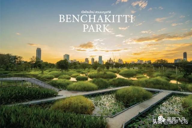 泰國旅行新打卡地：曼谷綠肺中央公園完工，市中心的湖景森林濕地