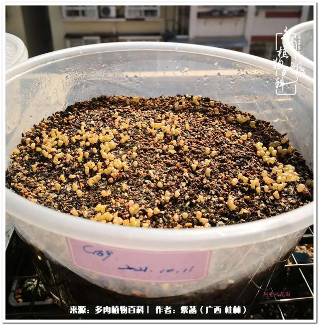 大型制砂机给力富贵机械