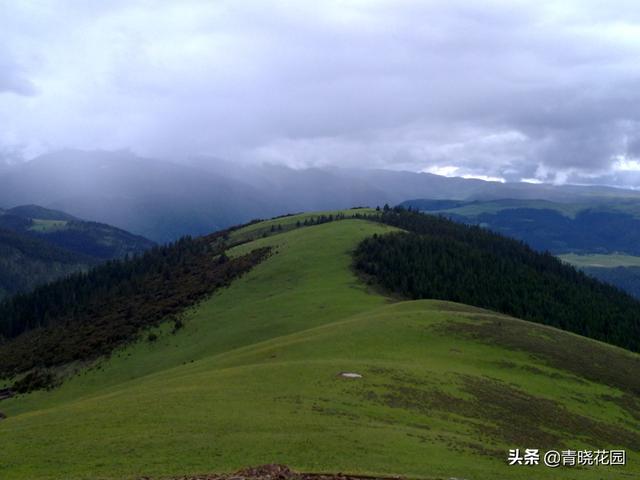 川藏騎行日志：高原之上的噩夢