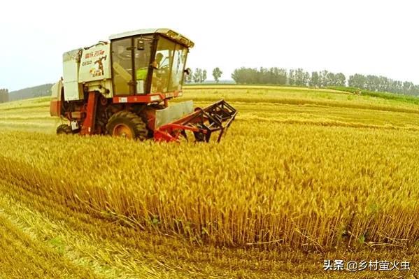 一句农谚说“怕雨”，怎么这些日子下雨就不好呢？你知道根由吗？