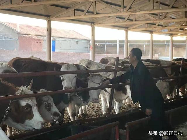 奈曼旗：党建带关建 最美“五老”助力乡村振兴在行动