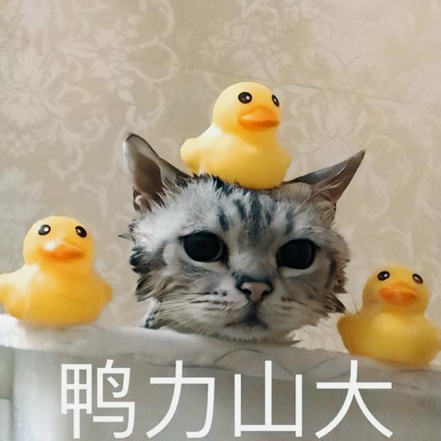 女生无奈是什么意思啊