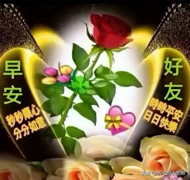 最经典早安语录句子2022，分享早安励志语录合集