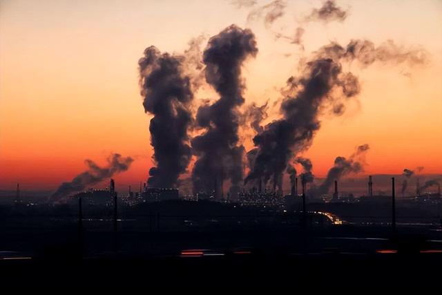 科学家警告：种种迹象已经表明，地球可能正进入第六次生物大灭绝