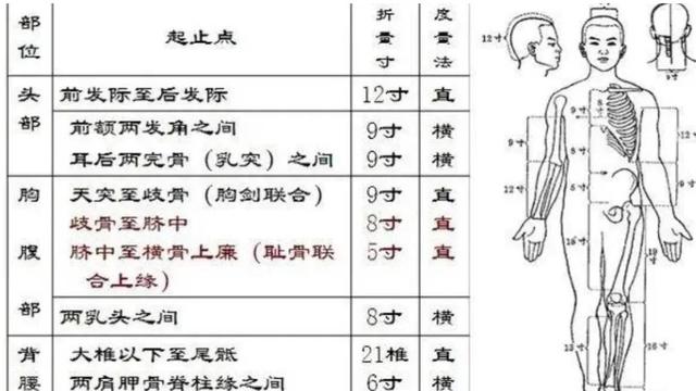 针灸穴位找不准？同身寸法和骨度分寸法了解一下，帮您找准穴位