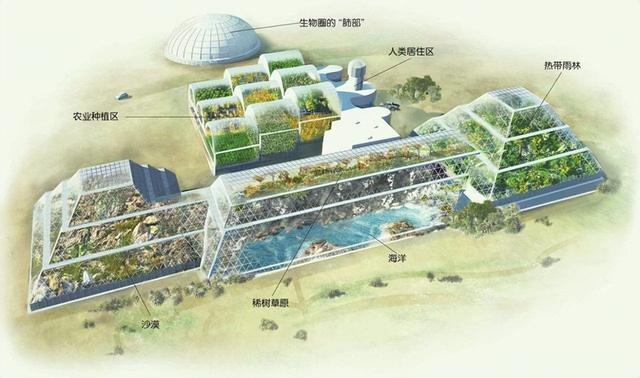 30年前，科学家将4男4女关在封闭空间，进行一项奇怪的实验