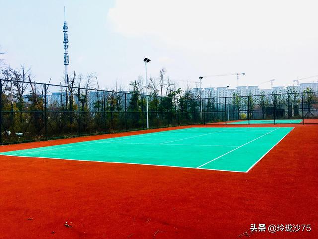 長沙唯一擁有戶外足球場的公園，更有大片水杉美景等你來