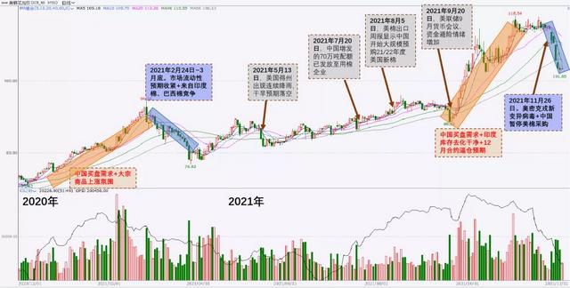 棉花年报：大转移、大拐点