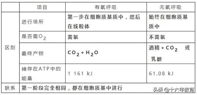 萨顿假说