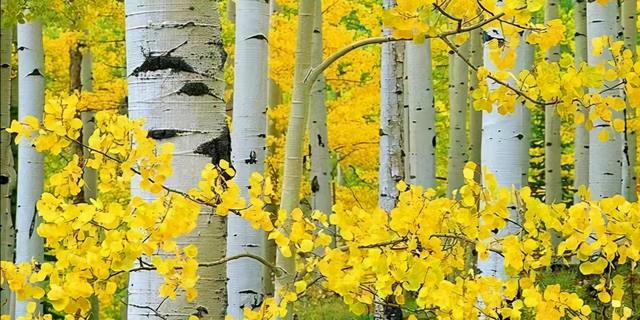 哪些坏习惯会加速衰老（原创）