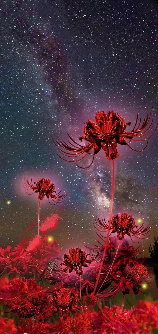 花落不言愁，天涯相思老，梦中情，梦中诗