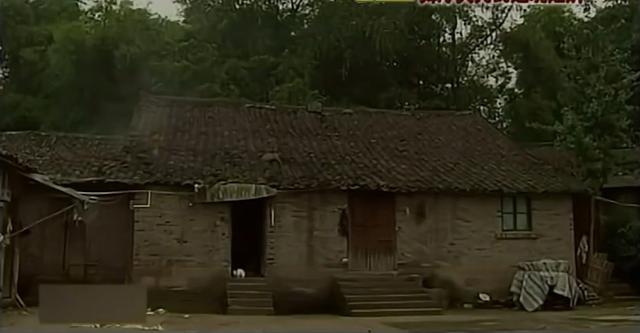 2011年，重庆30余名女子被骗财骗色，调查发现舞厅美男设下迷魂阵