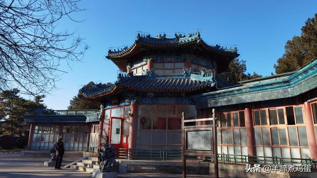 未等冬寒至 梅已報春香——北京中山公園臘梅提前綻放 盡顯芬芳