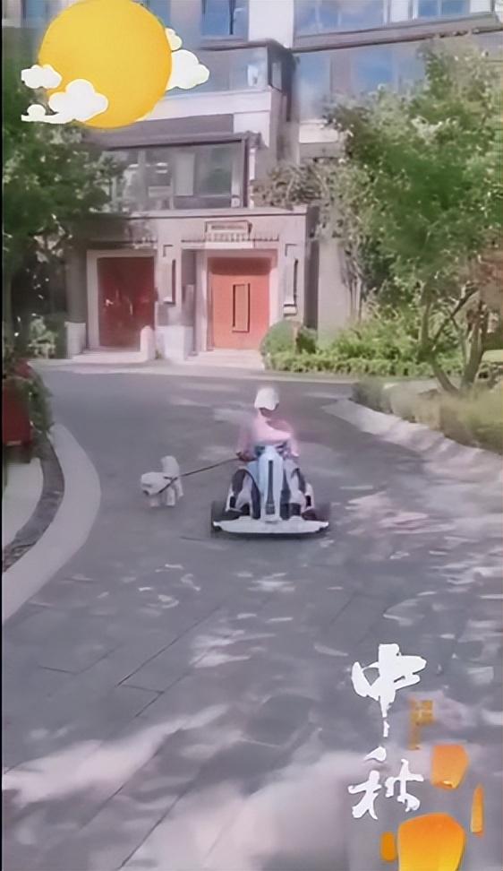 赵丽颖被造谣偷税，树大招风遭人嫉妒？细看她的资产确实被惊到了