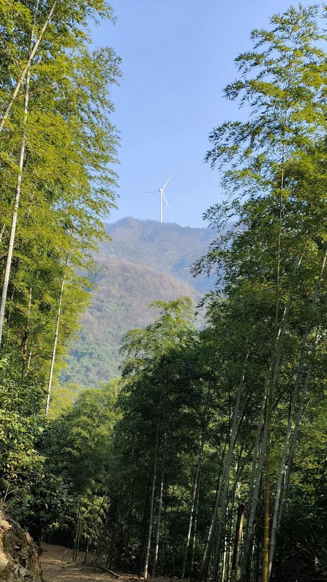给她一个家