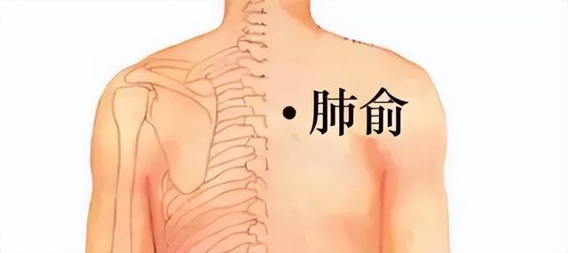 嗓子中有痰，咳不出来咽不下去，中医讲4个“祛痰穴”，很实用