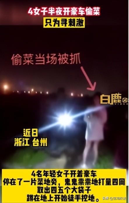 四名女子为寻刺激半夜开豪车偷菜