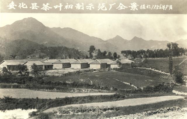 凤庆双螺旋洗砂机品牌