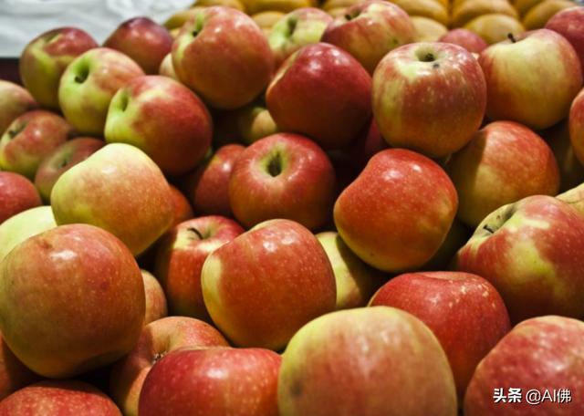 美国人平均一年吃多少食物