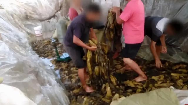 因一包酸菜，导致康师傅、统一流失数亿市值，严钦武到底什么来头
