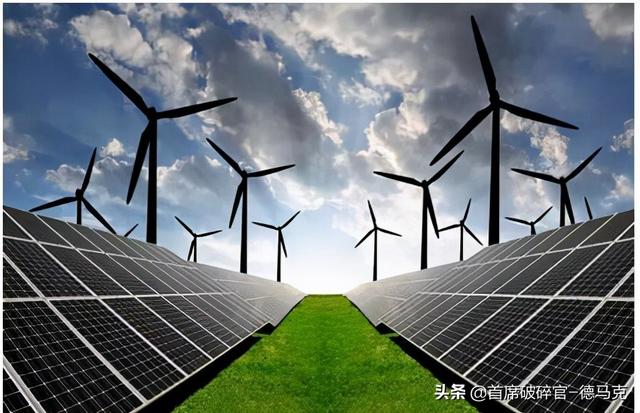 关于木材破碎机树根的信息