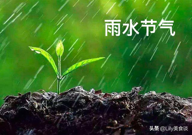 雨水节气吃什么