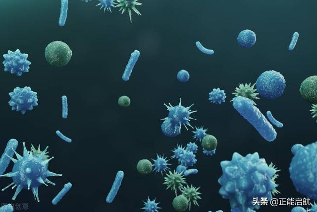 印度出现不明原因的罕见疫情，目前尚不得知具体致病原因