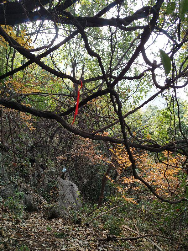 浙江這座178米小山，竟是皇城遺址？大多數人的杭州玩法，有遺憾