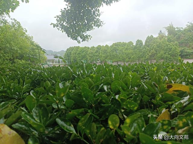 漫步红尘，远离小人