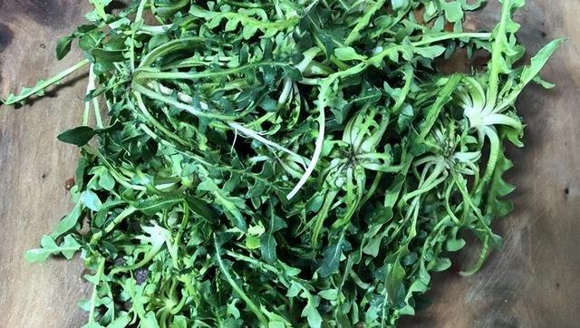吃蕨菜有害健康？辟谣：3种野菜或可放心食用，你吃对了吗？