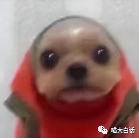 全麻手术现状分析（全麻手术后抱着护士姐姐喊老婆）(1)